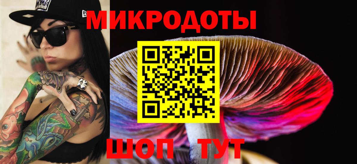Шебекино  Псилоцибиновые грибы Magic Shrooms  Вход с VPN 